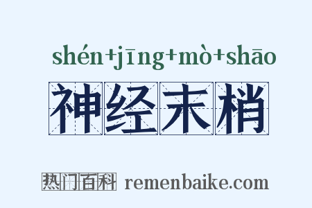 神经末梢是什么意思的图片